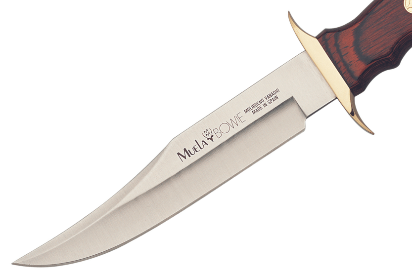 Muela Bowie Knife 9238 stainless steel blade 16cm stamina wood handle + leather sheath