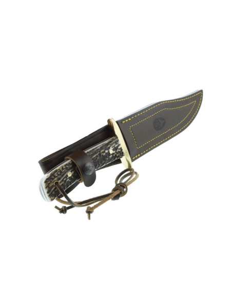 Faca Muela Bowie 9263 lâmina em aço inoxidável cabo de chifre de veado de 16 cm com laço e bainha em pele