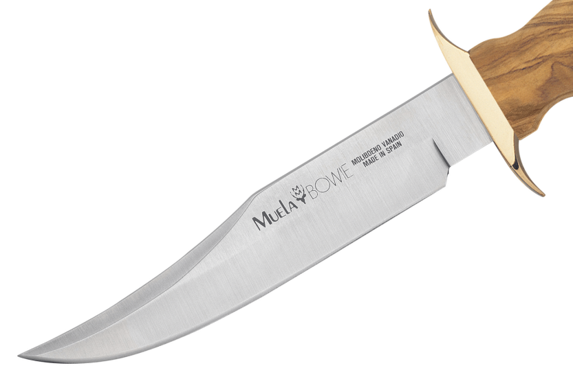 Muela Bowie Knife 9271 blad i rustfritt stål 16 cm håndtak i oliventre + skinnslire