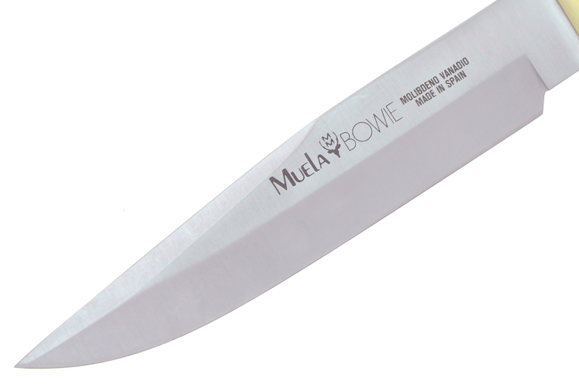 Muela Bowie Knife 9310 rustfritt stålblad 18 cm stamina trehåndtak