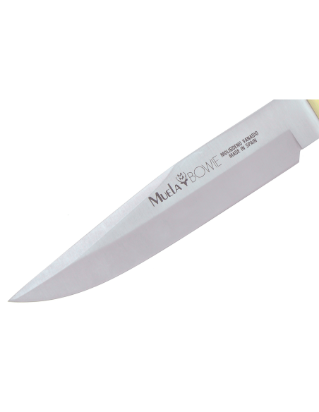 Muela Bowie Knife 9310 rustfritt stålblad 18 cm stamina trehåndtak