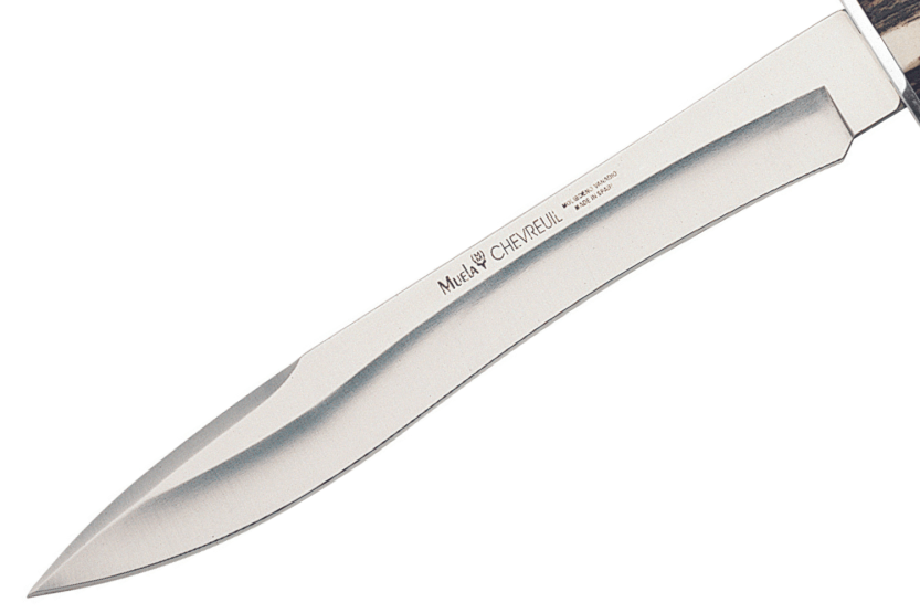 Muela Coltello da capriolo 9220 lama in acciaio inox 22cm manico in corno di cervo + fodero in pelle