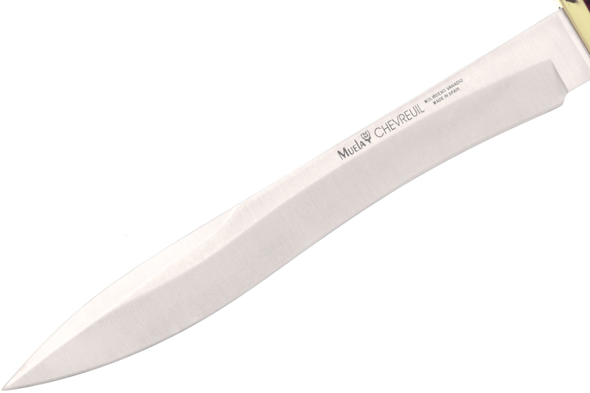 Muela Chevreuil veitsi 9313 ruostumattomasta teräksestä terä 22cm Stamina kahva + nahkatuppi