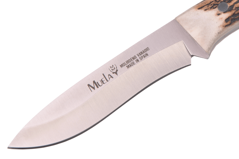 Muela Comf 9328 kniv 11 cm blad i rustfrit stål håndtag i hjortetræ