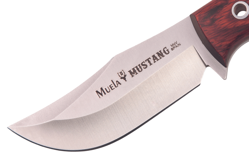 Muela Mustang 9332 knife stainless steel blade 8cm stamina handle + leather sheath
