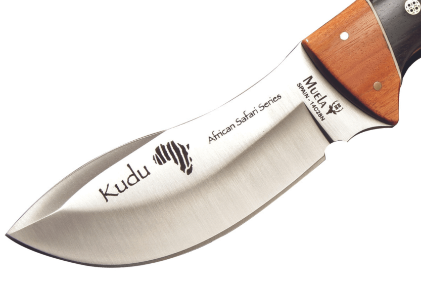 Muela Kudu 9278 coltello serie limitata lama 10 cm manico in legno di granadillo e asteropea + fodero in pelle