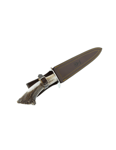 Muela Bear Knife 9254 rustfritt stålblad 24 cm gevirhåndtak + skinnslire