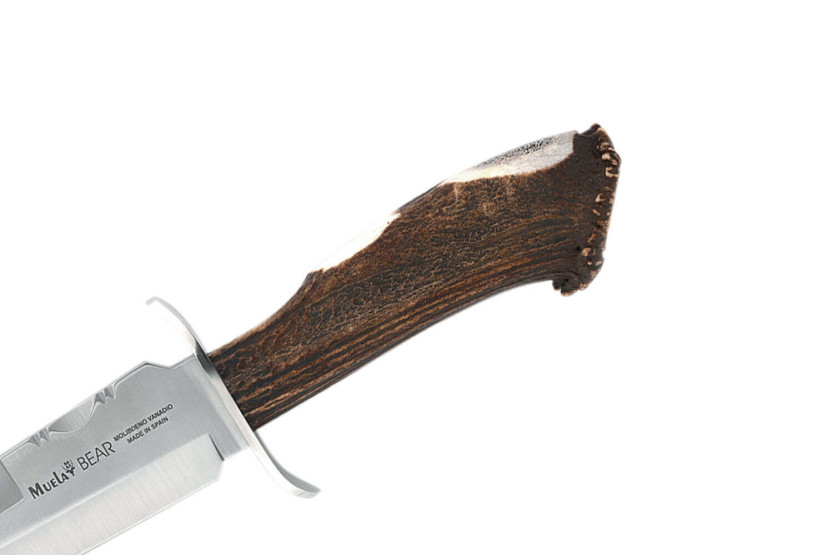 Muela Bear Knife 9254 rustfritt stålblad 24 cm gevirhåndtak + skinnslire
