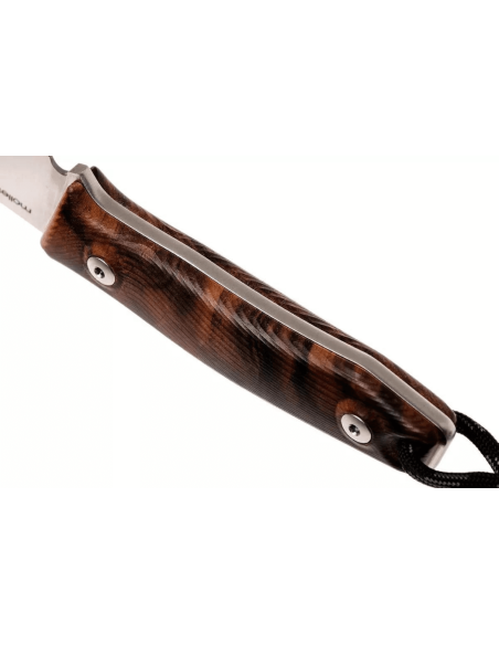 LionSteel M1.WN kniv 7,5 cm blad valnötshandtag + läderslida