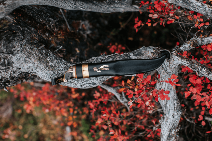 546012 Marttiini Antler mes 11cm carbon lemmet berken handgreep + etui/cadeauverpakking