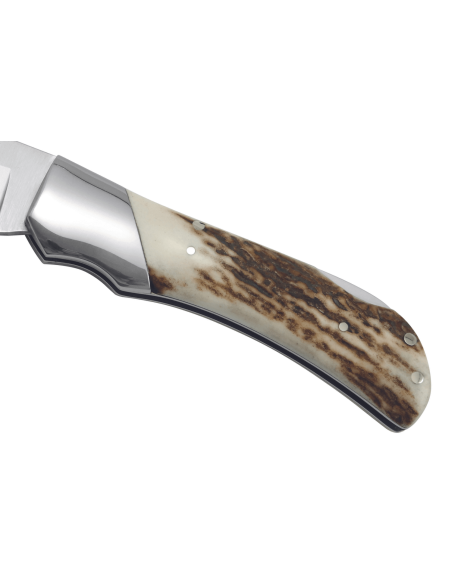 Puma IP Bison Stag folding knife 310112 11.5cm deer antler handle