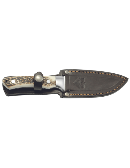 Puma IP Fenris Stag 306811 knife 10,3cm blade antler handle + leather sheath