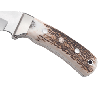 Puma IP Schwarzwild kniv 338212 guthook blad 12cm gevirhåndtak + skinnhylse 2