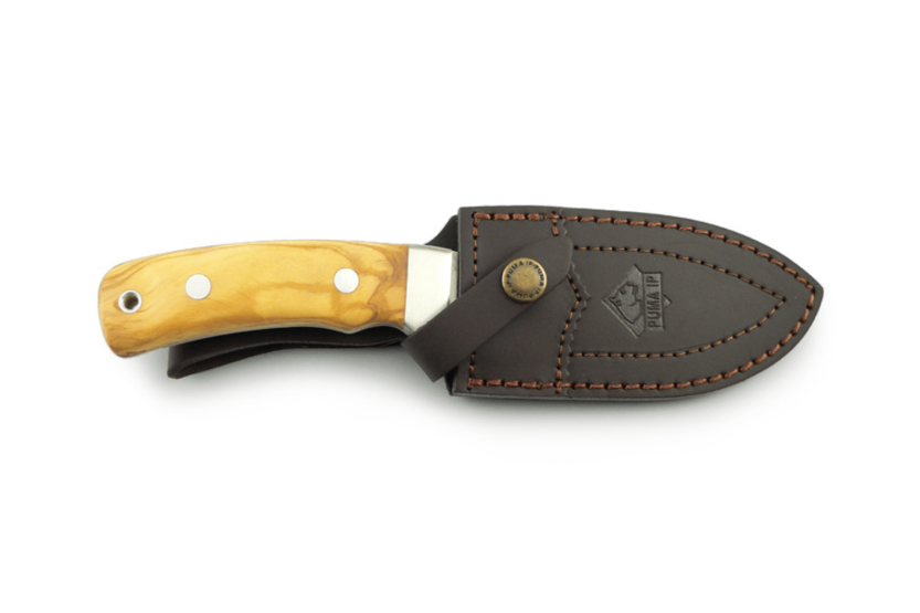 Puma IP Schwarzwild Oliva Cuchillo 328212 12cm hoja guthook mango de madera de olivo + funda de cuero