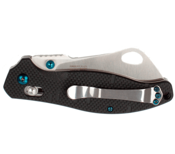 Ganzo Firebird GF7551BK folding knife 11.5cm black G10 handle 2