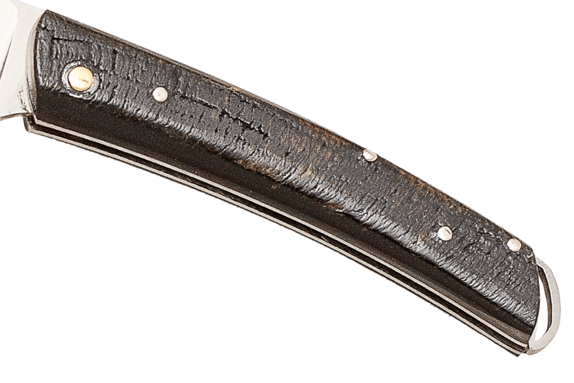 Coltello pieghevole Salamandra con manico in corno di bufalo da 9 cm