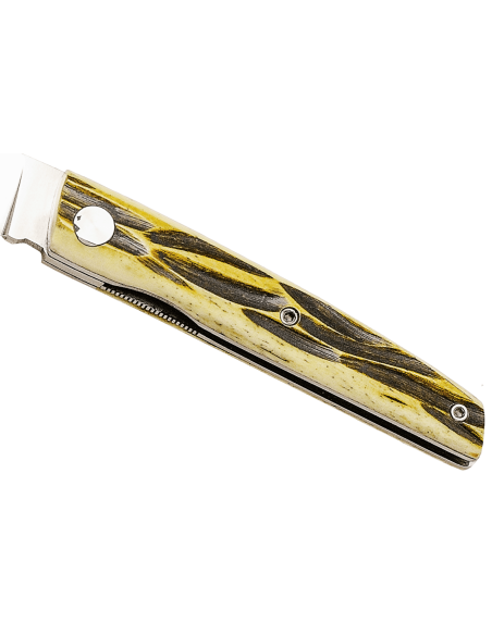 Salamandra foldekniv 9 cm med beinhåndtak