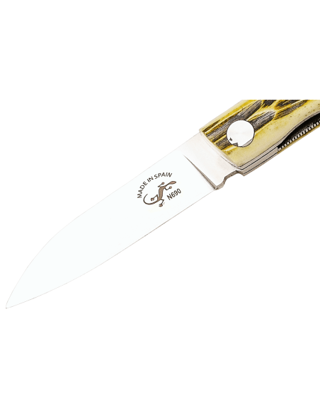 Salamandra folding knife 9cm bone handle