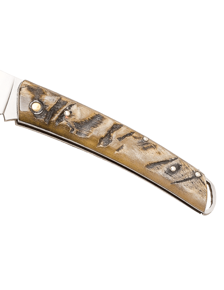 Klappmesser Salamandra Griff Horn roh 9cm