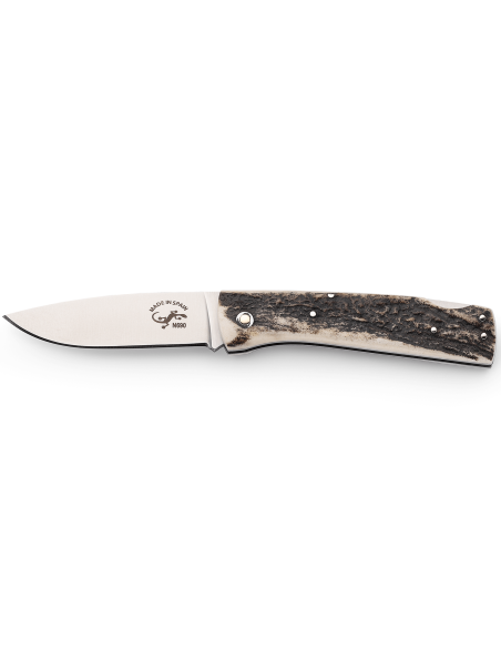 Salamandra folding knife 9.5cm stag horn handle