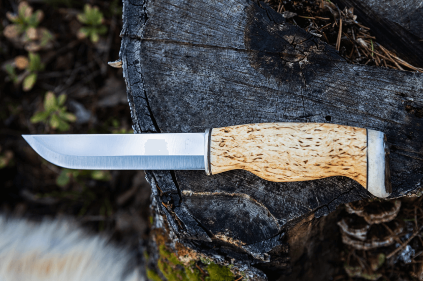Arctic Legend Bear Knife AL866 lama artigianale in betulla riccia da 14,5 cm + fodero in pelle