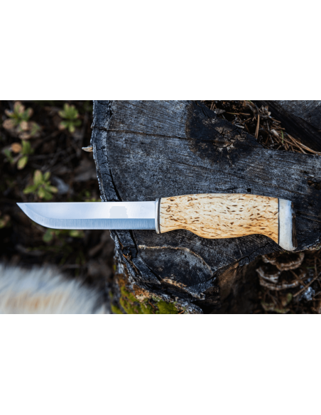 Arctic Legend Bear Knife AL866 lama artigianale in betulla riccia da 14,5 cm + fodero in pelle