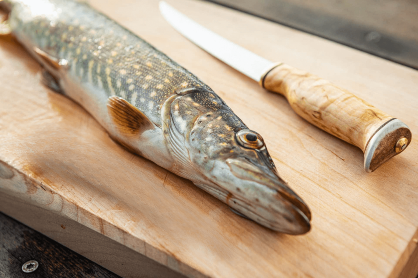 Arctic Legend Fillet Knife 16cm manico in betulla riccia + fodero in pelle