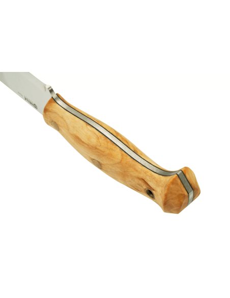 Helle Nord H670 kniv 14,7cm stålblad lockigt björkhandtag + läderslida