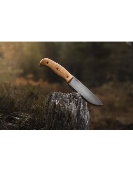 Helle Nord H670 kniv 14,7cm stålblad lockigt björkhandtag + läderslida