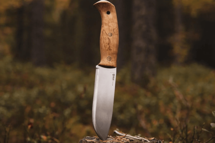 Helle Nord H670 kniv 14,7 cm stålblad krøllet birkehåndtag + læderskede