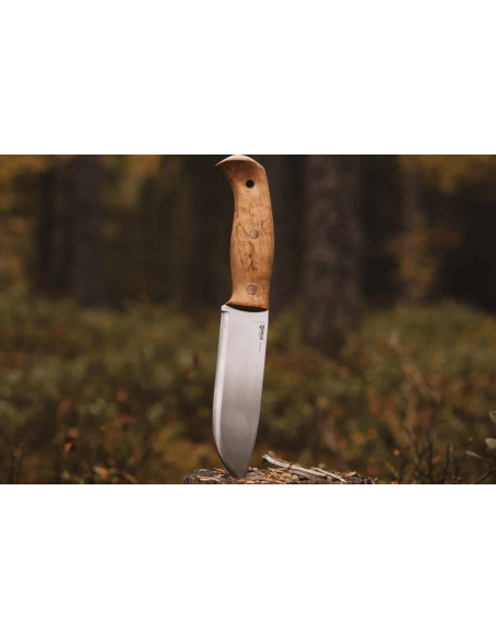 H670 Cuchillo Helle Nord 14.7cm hoja de acero mango de abedul rizado + funda de cuero