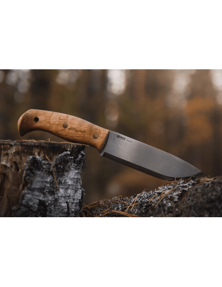 Helle Nord H670 kniv 14,7cm stålblad lockigt björkhandtag + läderslida