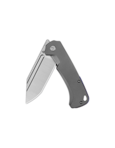 QSP Rhino 143A coltello pieghevole 10,8 cm manico in titanio grigio