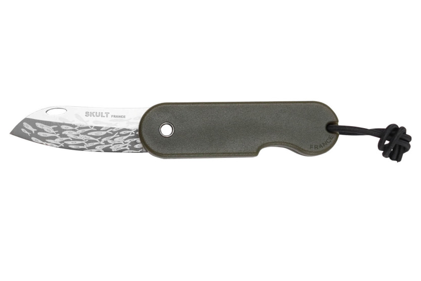 Klappmesser Skult französisch öko-verantwortlich Le Banc de Poissons grüner Griff 10cm
