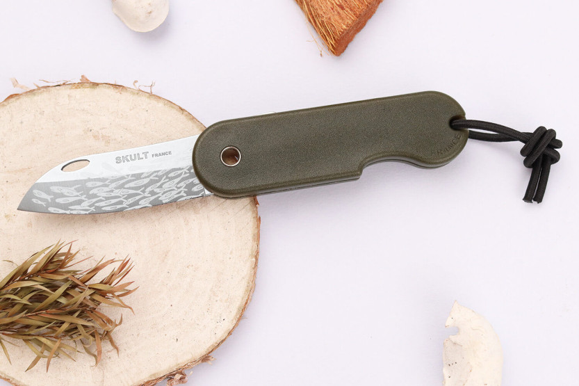 Skult Fransk øko-ansvarlig foldekniv Le Banc de Poissons grønt skaft 10cm
