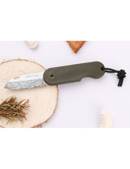 Skult Frans eco-verantwoord vouwmes Le Banc de Poissons groen heft 10cm