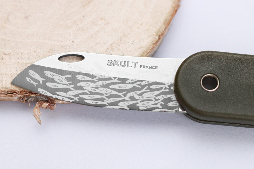 Klappmesser Skult französisch öko-verantwortlich Le Banc de Poissons grüner Griff 10cm