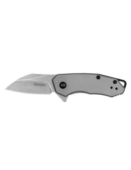Kershaw Rate KS.1408 foldekniv 7,6 cm håndtag i rustfrit stål