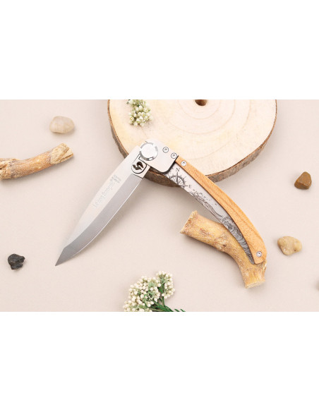Le Coq Français Nautic foldekniv 11,5 cm håndtak i oliventre + slire