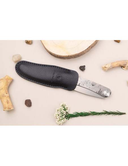 Le Coq Français Chemin de Saint-Jacques folding knife 11.5cm olive wood handle + case