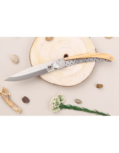 Le Coq Français Louis XIV foldekniv 11,5 cm håndtak i oliventre + etui