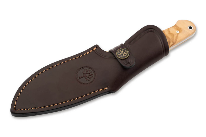 Böker Arbolito Vultur 02BA415 kniv 9,8cm stålblad olivträhandtag + läderslida