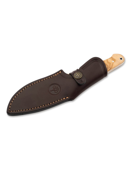 Böker Arbolito Vultur 02BA415 knife 9,8cm steel blade olive wood handle + leather sheath
