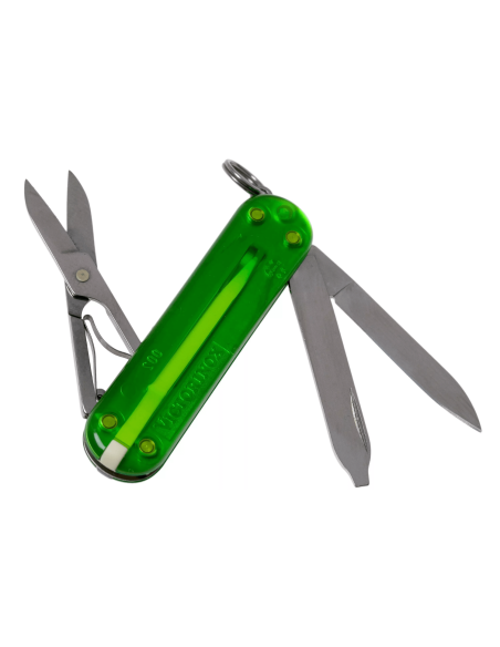 Victorinox Coltello tascabile Classic SD Colors Translucent Green Tea 58mm 7 funzioni