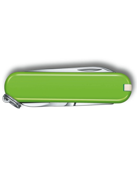 Victorinox Swiss Pocket Knife Classic SD Colors Smashed Avocado 58 mm 7 funzioni