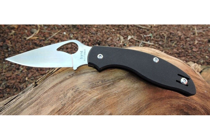 BYRD TERN MESSER