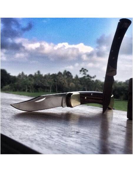 BUCK 110 foldekniv 12,5 cm skaft + læderskede