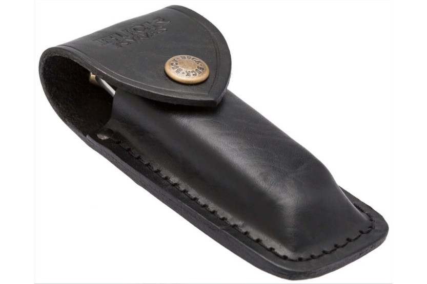 Klappmesser BUCK 110 Folding Hunter + Lederetui