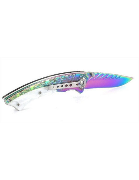 Herbertz 233511 titan regnbuebelagt foldekniv med 12 cm skaft