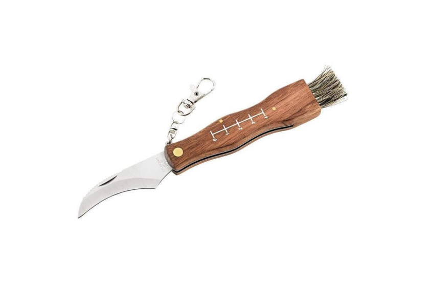 Coltello per funghi Herbertz 251411 in acciaio inox 11 cm manico in legno con spazzola
